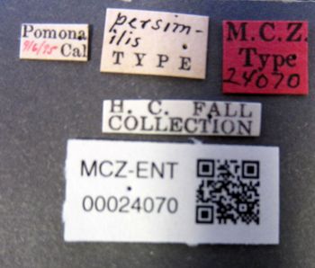 Media type: image;   Entomology 24070 Aspect: labels